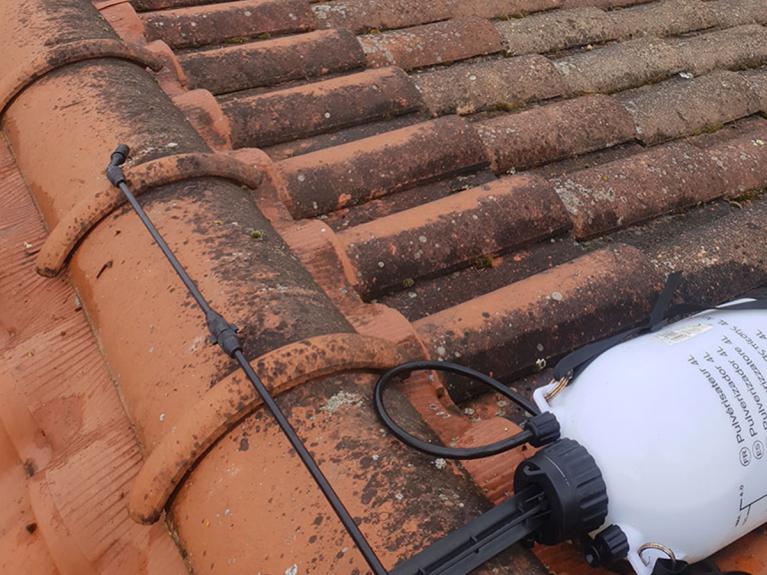 Couvreur 66 - Nettoyage et entretien de toiture 66